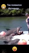 Дельфин и Алка (VIDEO 22.06.2024)