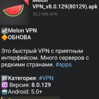 Melon VPN v8.0.129(80129)