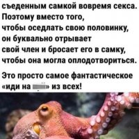 Осьминог