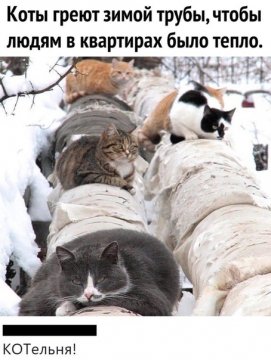 Котельня