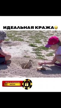 Идеальная кража