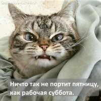 Суббота-а-я-на-работе-прикольные-и-смешные-картинки-11