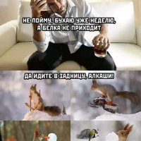 Белочка устала