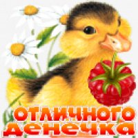 Отличн.денечка