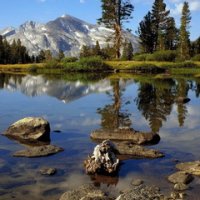 yosemite-national-park-usa-240x400