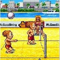 Playman Beach Volley