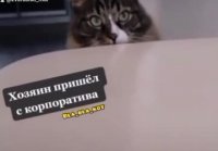 Котя в шоке