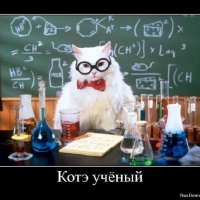 Котэ учёный