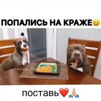 Попались