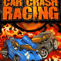 carcrashracing 240x320 s40 1266014678