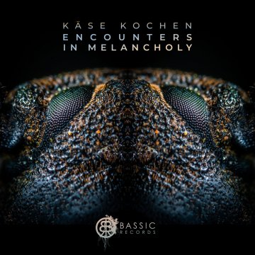 Encounters In Melancholy [LP] by Käse Kochen