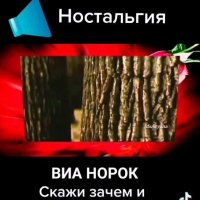 Виа Норок. скажи зачем