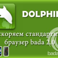 Dolphinayar