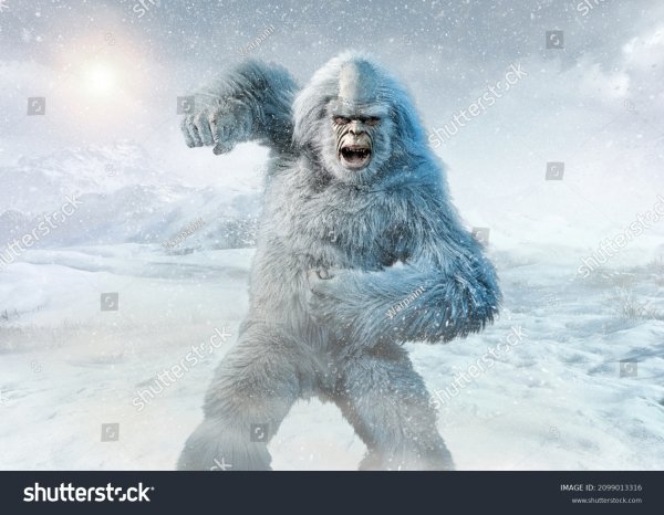 Stock photo yeti or abominable snowman d illustration