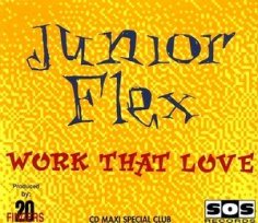 Junior Flex - Work That Love (DJ.Polattt EuroDance Remix)