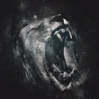 Lion-Black-and-White-Full-HD-Pics-Wallpapers - копия