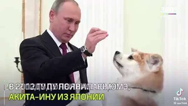 Япония