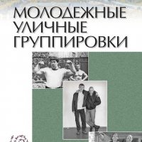 Молодежные уличные группировки. Введение в проблематику