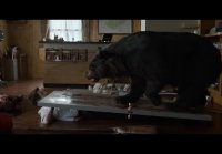 Кокаиновый Медведь(2023г)эпизод