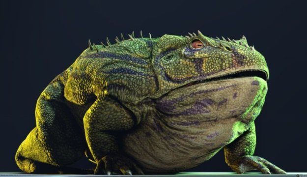 biggest frog image one-750x432