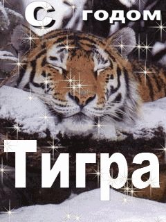 Аним.С Годом Тигра