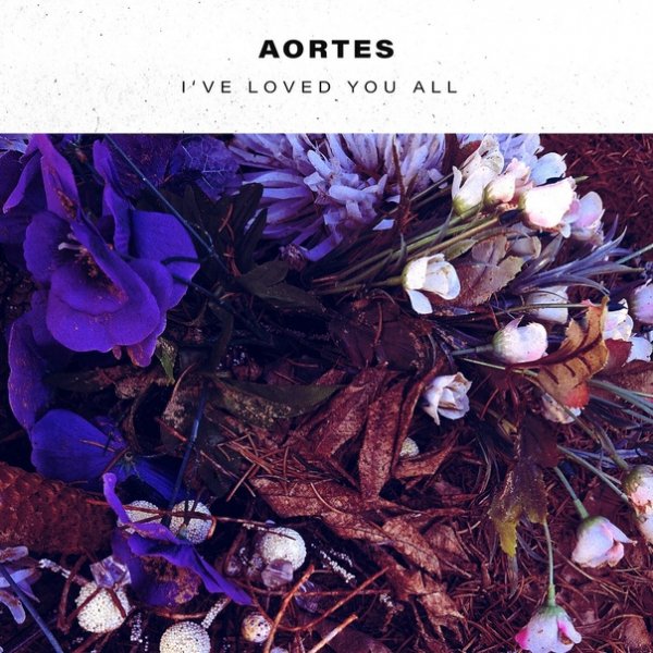 Aortes - I've Loved You All