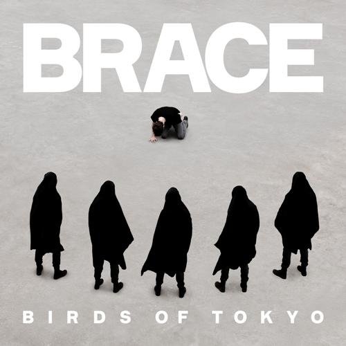 Birds of Tokyo - Above  Below