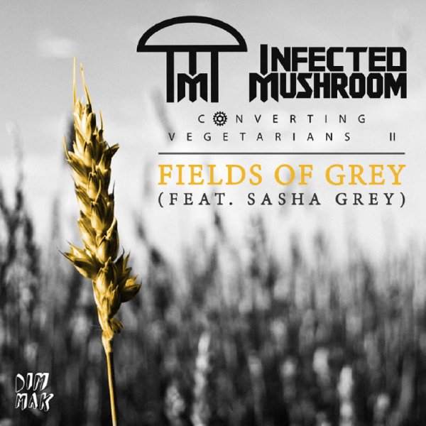 Infected Mushroom - Fields Of Grey (Au5 Remix)