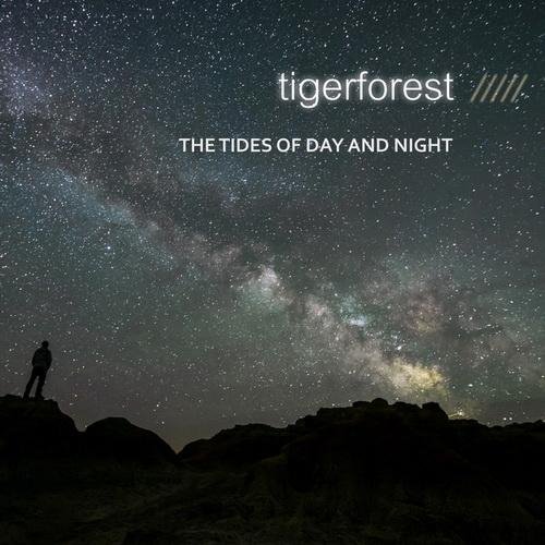 Tigerforest - Asylum Harbor