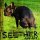 Seether - Here and Now