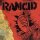 Rancid - Salvation