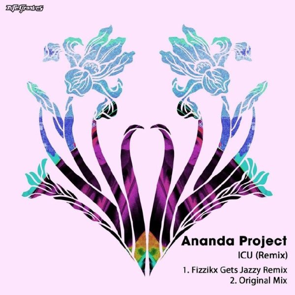 Ananda Project - ICU (Original Mix)