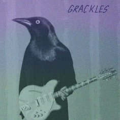 Grackles - San Antone