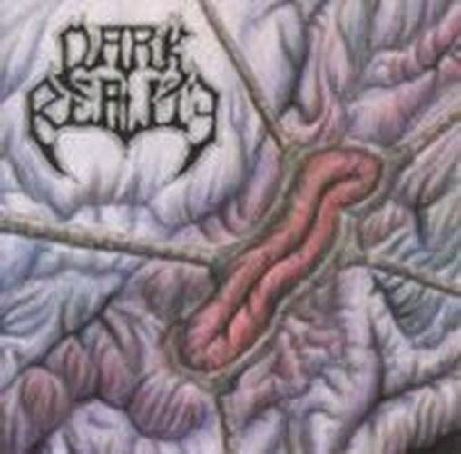 Dark Reality - Salvation