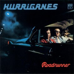 Hurriganes - It ain't what you do