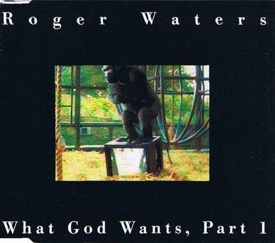 Roger Waters - What God Wants, Part III