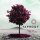 Taproot - Wherever I Stand (Acoustic Version)