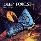 Deep Forest - Sweet Lullaby (Eric Faria Remix)