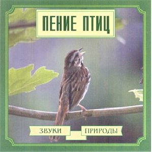 22 - Пеночка кузнечик