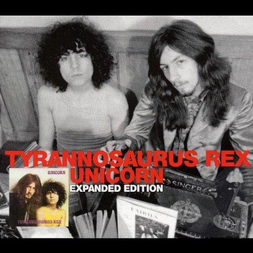 T. Rex - Cat Black The Wizards Hat