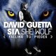 David Guetta - She Wolf (Falling to Pieces)