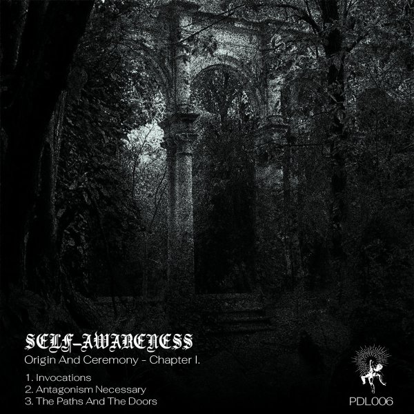 Self-Awareness - The Paths And The Doors