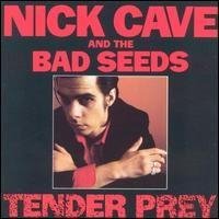 Nick Cave, The Bad Seeds - Sugar Sugar Sugar