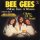 The Bee Gees - More Than a Woman