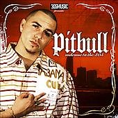 Pitbull - Down South feat. Deuce Poppi