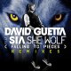 David Guetta - She Wolf (Falling To Pieces) (Feat. Sia), Extended