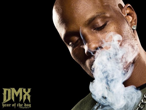 DMX - DMX  The Rain