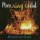 Running Wild - Evil Spirit