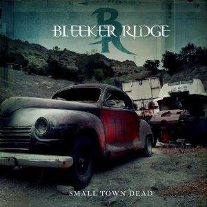 Bleeker Ridge - Pick Me Up