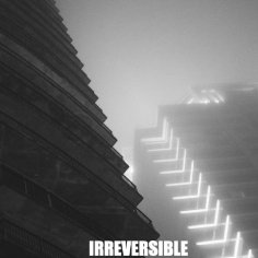 Irreversible - Dead Law